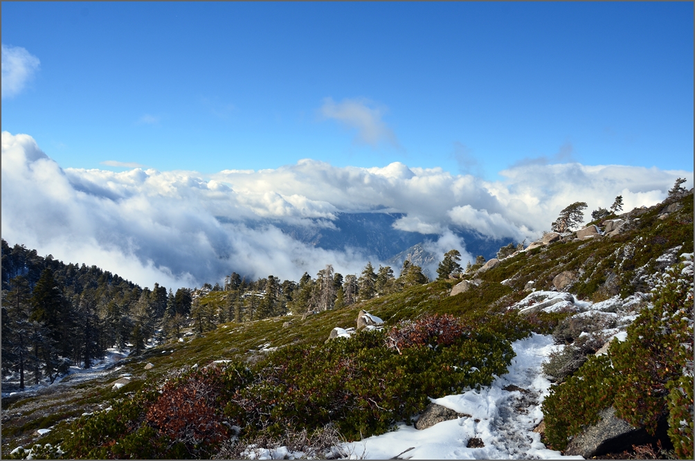 DSC_7381.JPG