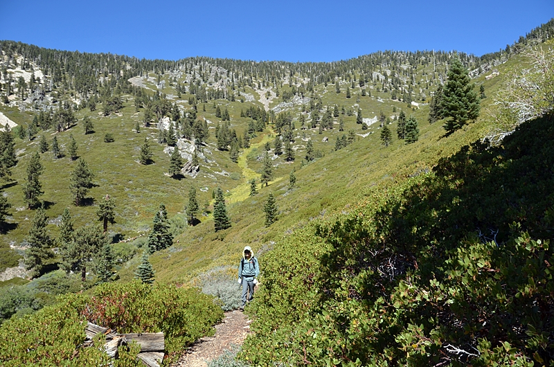 DSC_0142.JPG