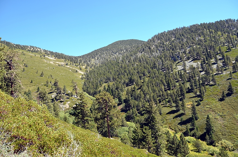 DSC_0119.JPG