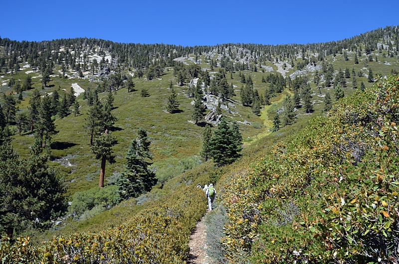 DSC_0180.JPG