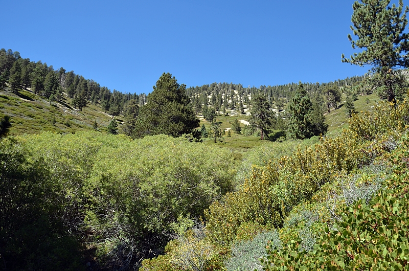 DSC_0188.JPG