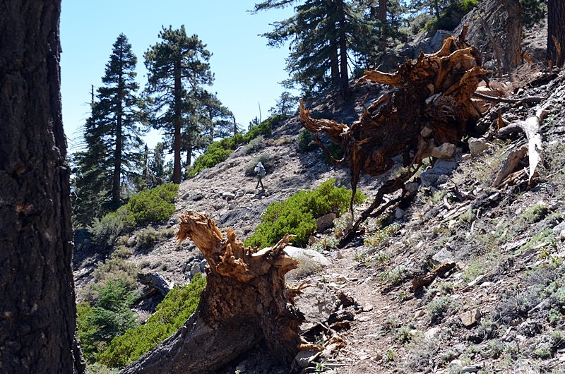 DSC_0219.JPG