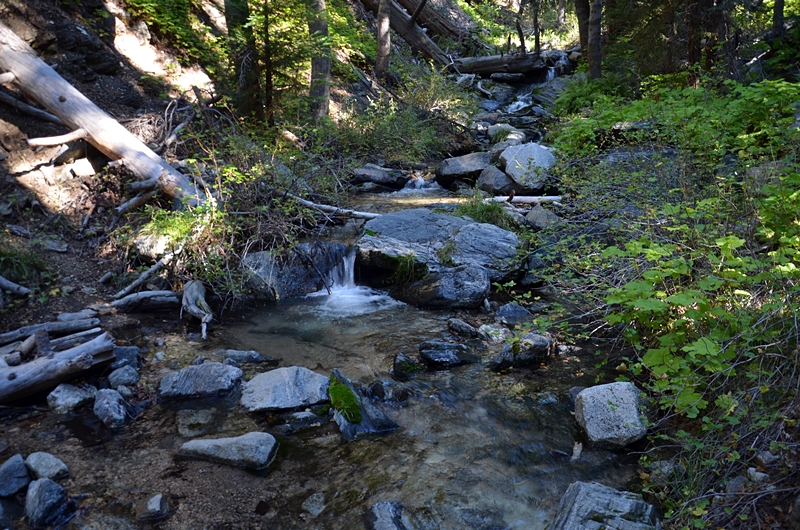 DSC_0026.JPG