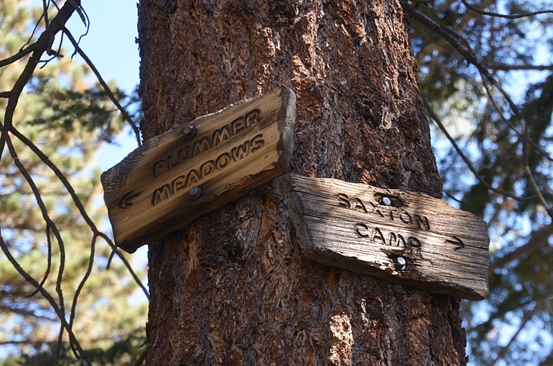 DSC_0077.JPG