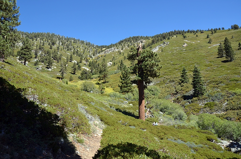 DSC_0126.JPG