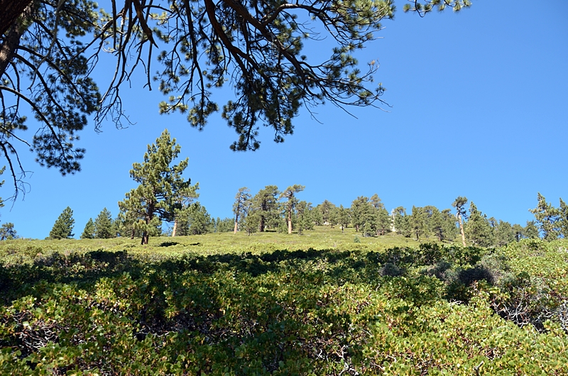 DSC_0117.JPG