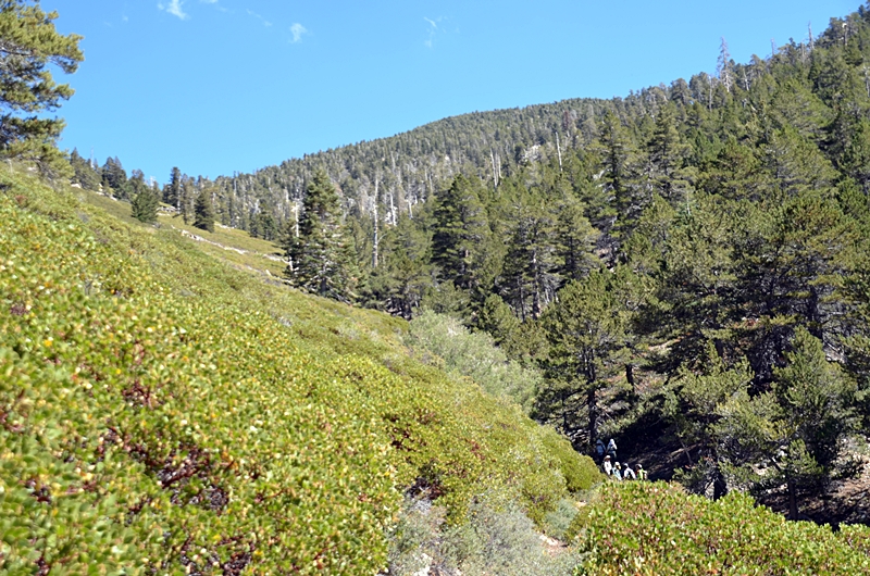 DSC_0169.JPG