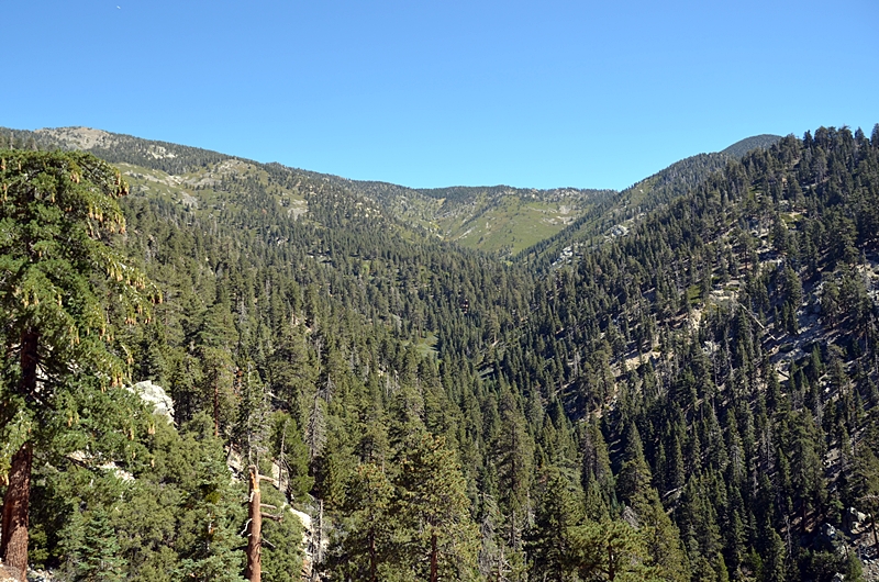 DSC_0045.JPG
