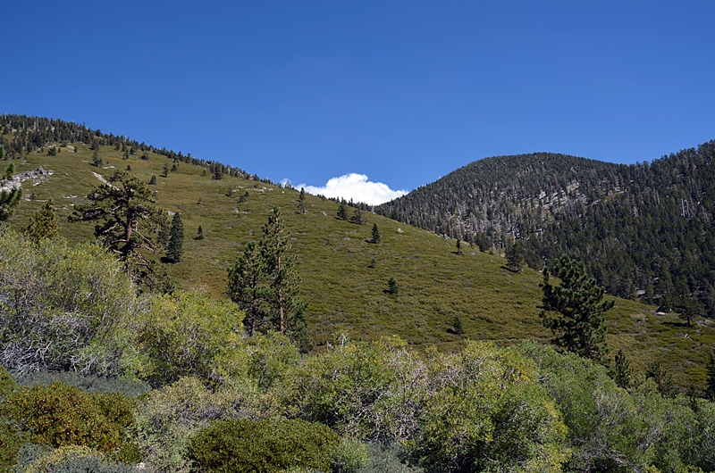 DSC_0189.JPG
