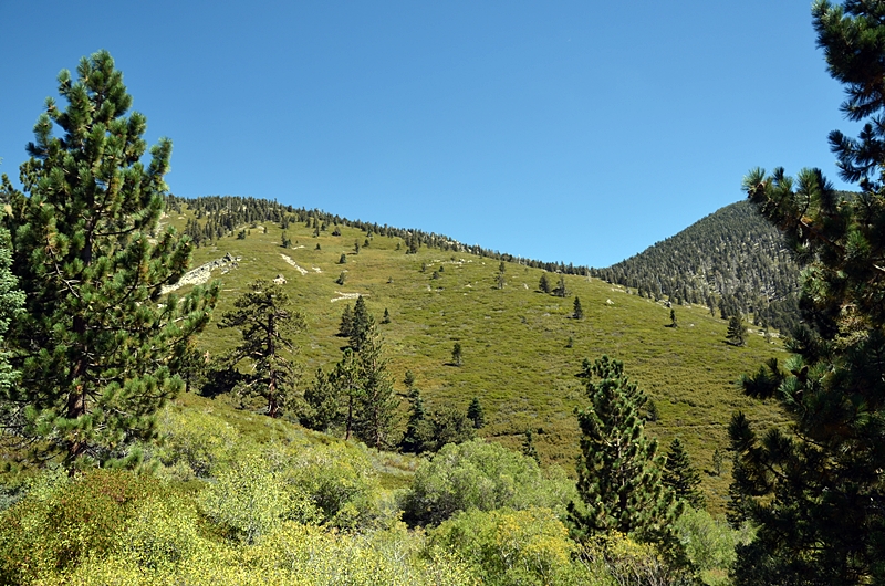 DSC_0123.JPG