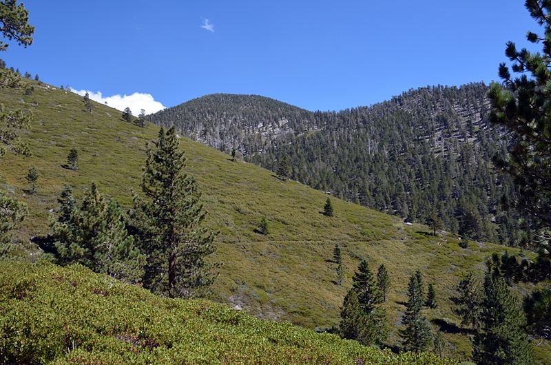 DSC_0187.JPG