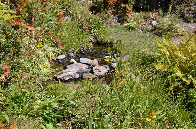 DSC_0130.JPG
