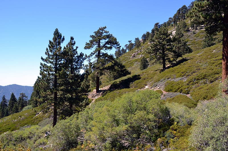 DSC_0132.JPG