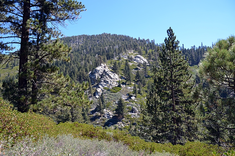 DSC_0086.JPG