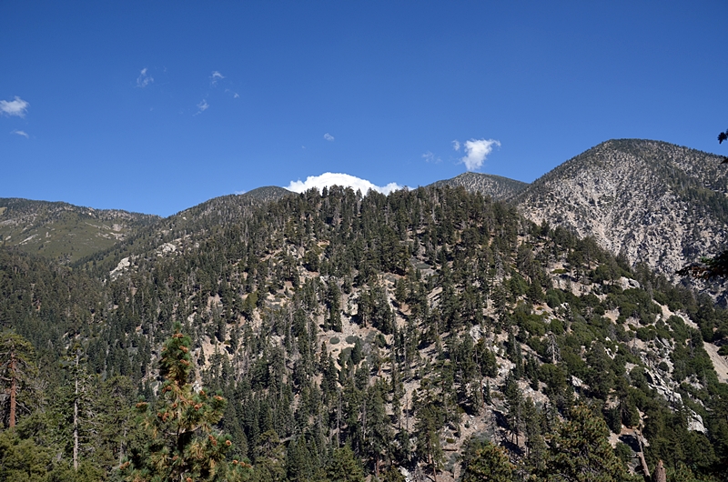 DSC_0220.JPG