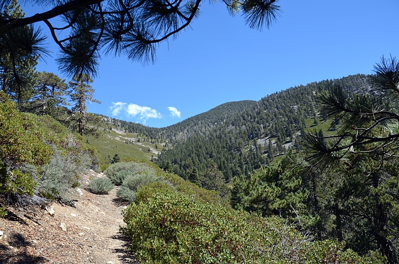 DSC_0111.JPG