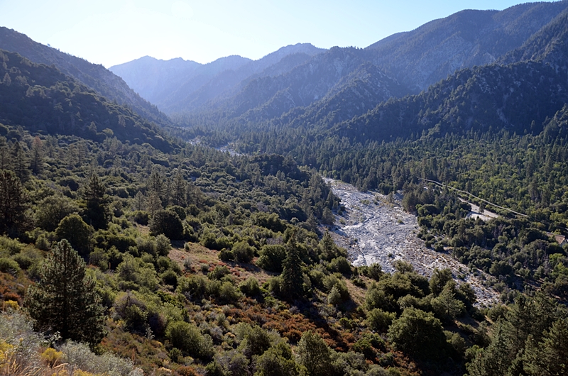 DSC_0012.JPG