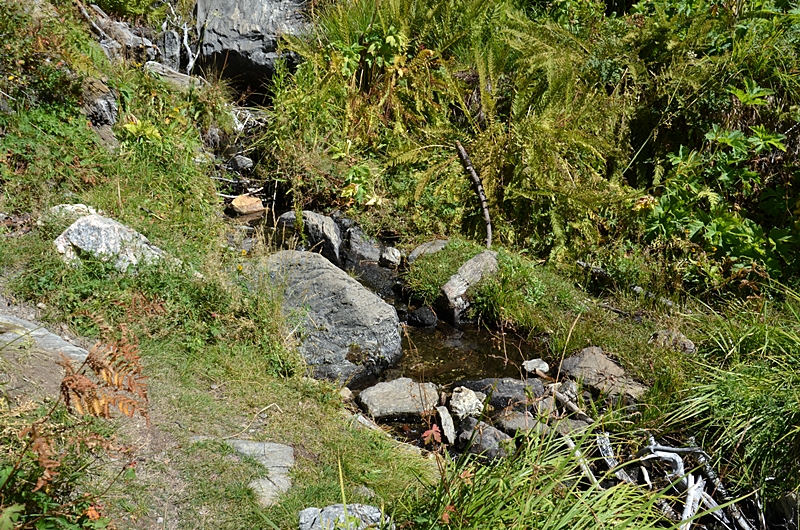 DSC_0068.JPG