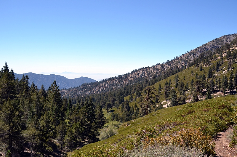 DSC_0158.JPG