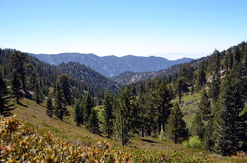 DSC_0139.JPG