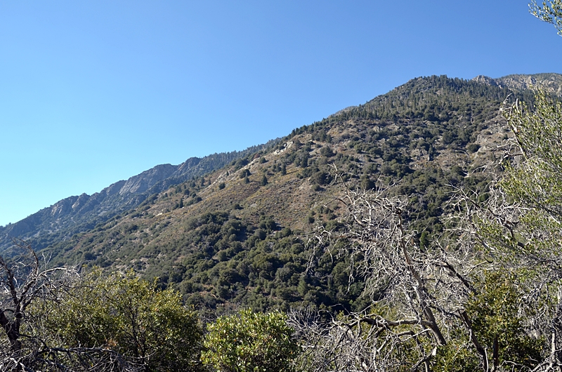 DSC_0255.JPG