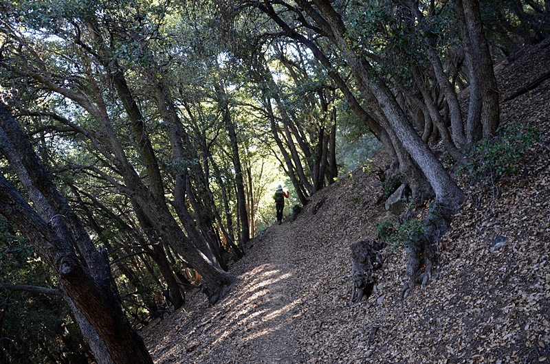 DSC_0262.JPG