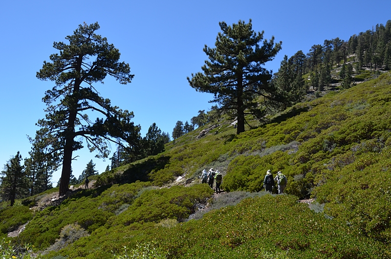 DSC_0184.JPG