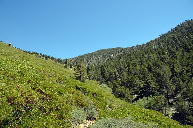 DSC_0145.JPG