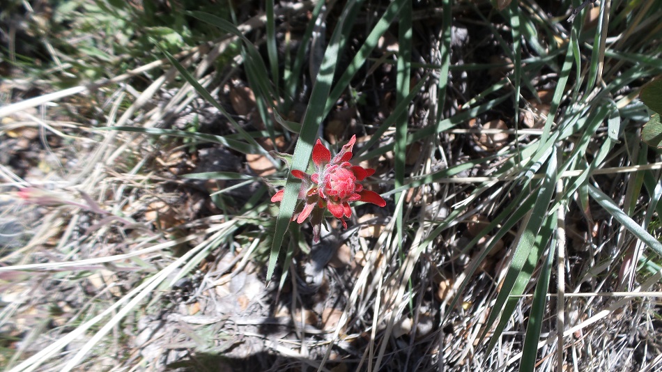 20180428_121549.jpg