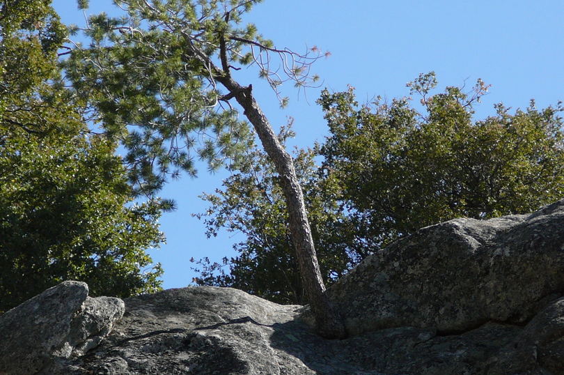 P1060356.JPG