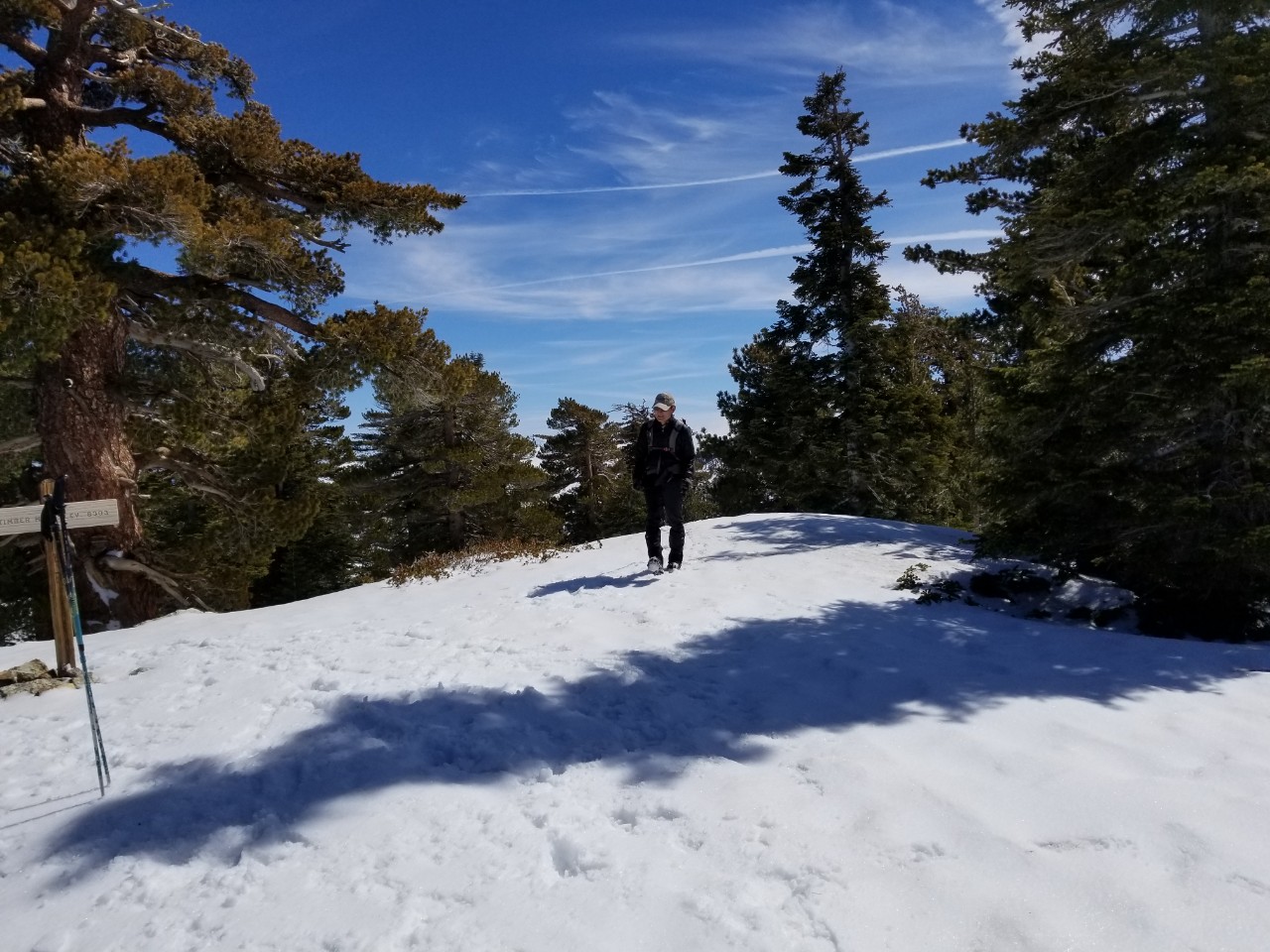 KakaoTalk_20190303_142938548_22.jpg