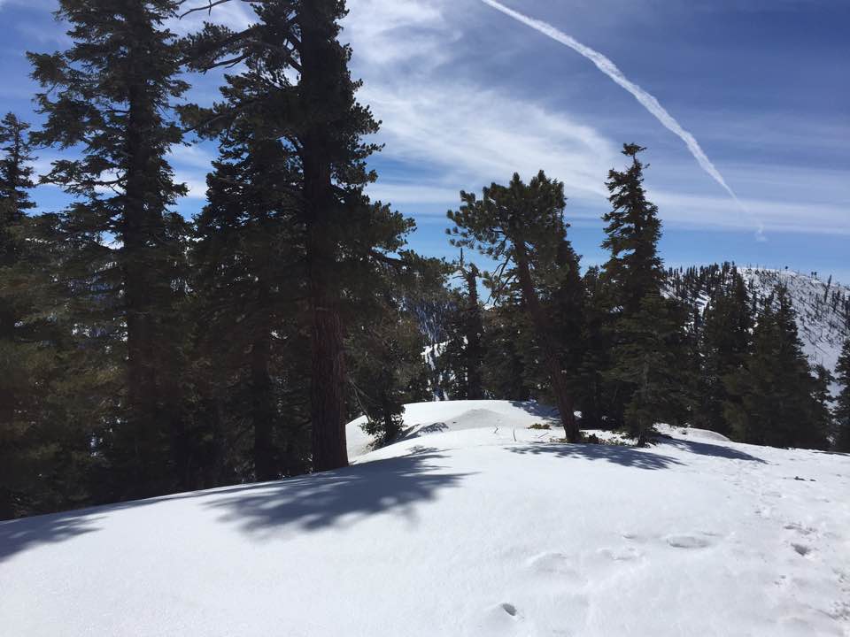 KakaoTalk_20190303_160808113.jpg