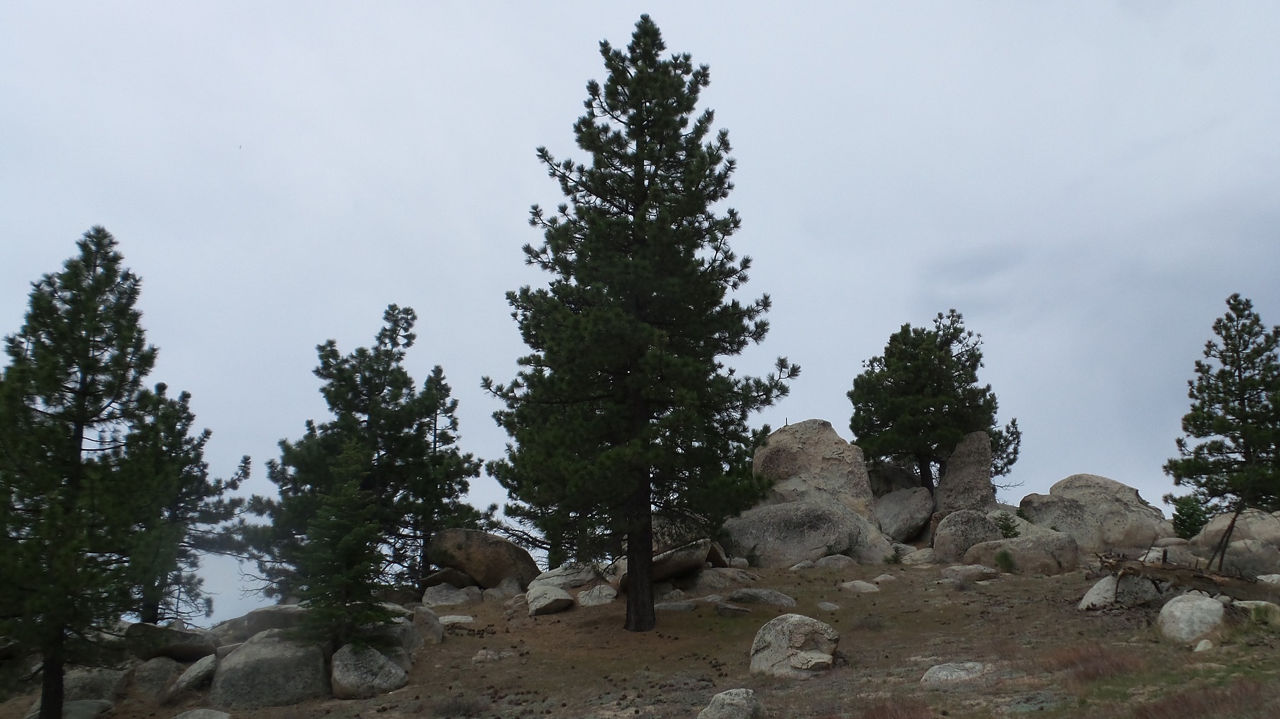 18-1nature.jpg