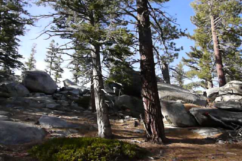 Resized_P1050767.JPG