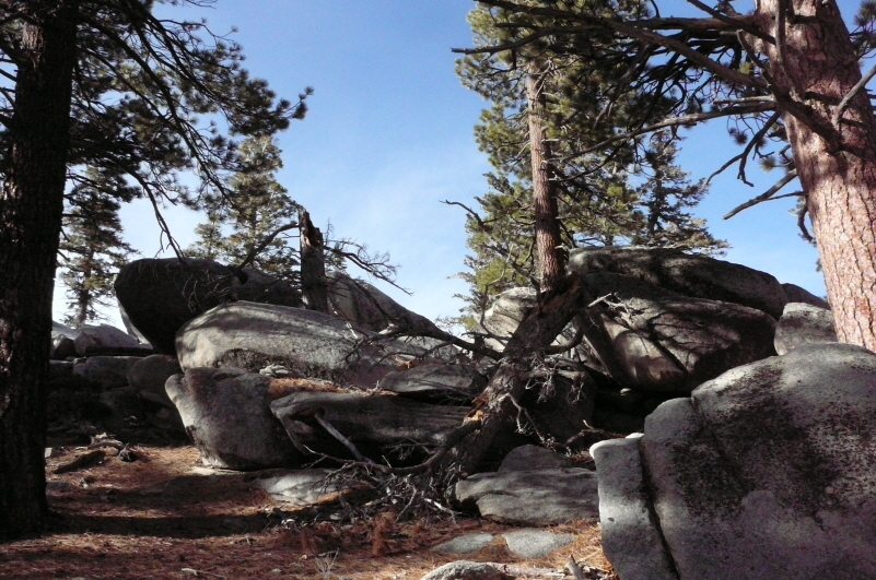 Resized_P1050769.JPG