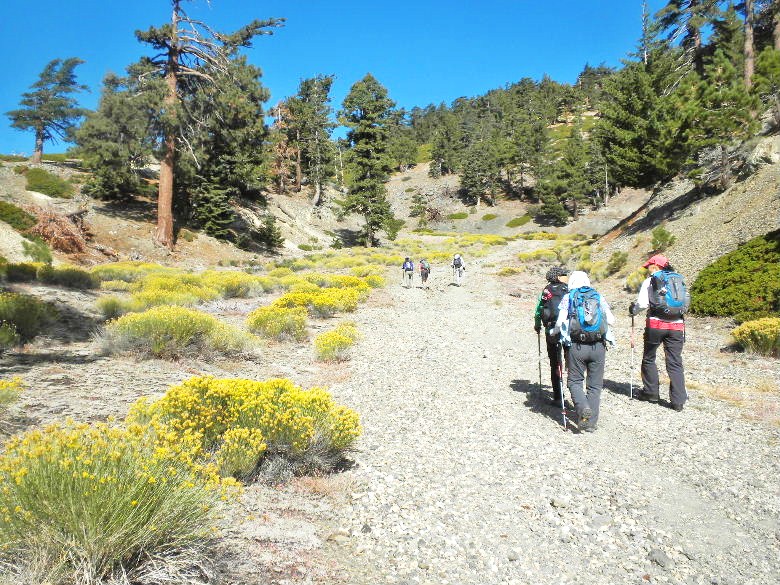 mt.baldy92312 016.JPG