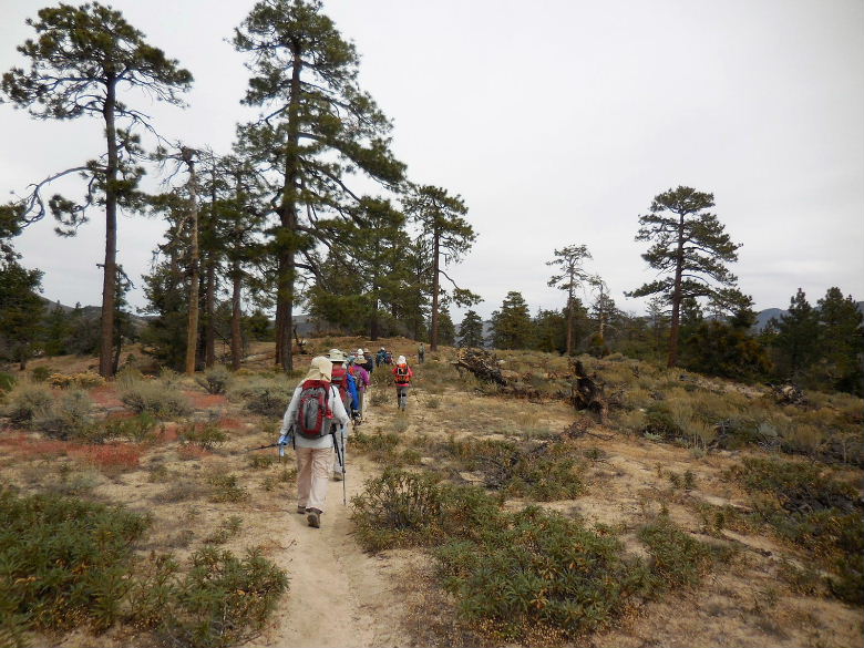 DSCN2863.JPG