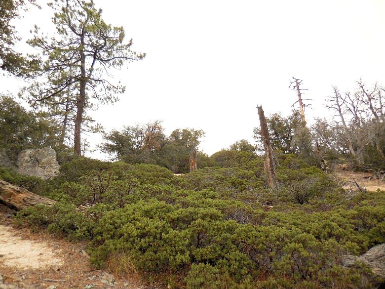 DSCN2814.JPG