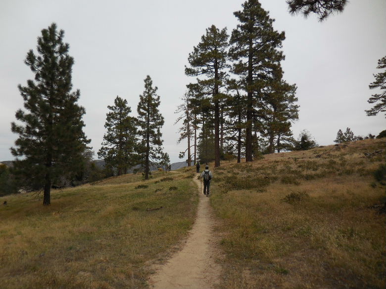 DSCN2871.JPG