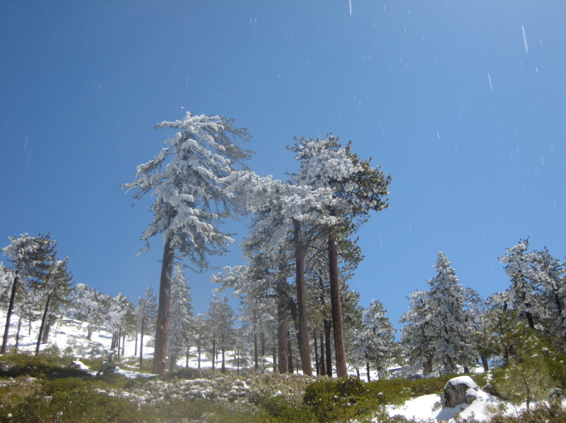 Resized  s,j 2_4¿ùÀÇ ´«²É ¶³¾îÁö´Â ¼Ò¸®°¡ µé¸®½Ê´Ï±î.JPG