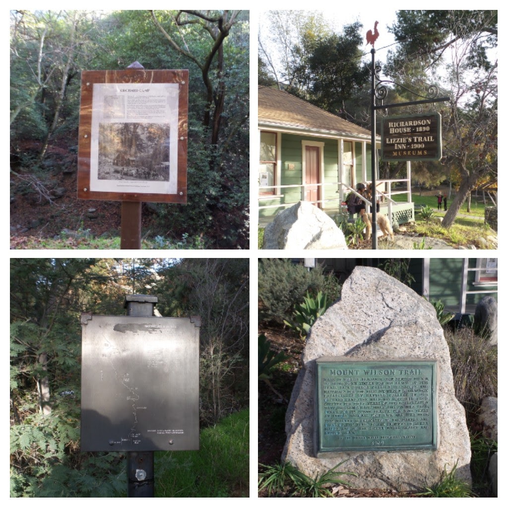 20170108_185732-COLLAGE.jpg