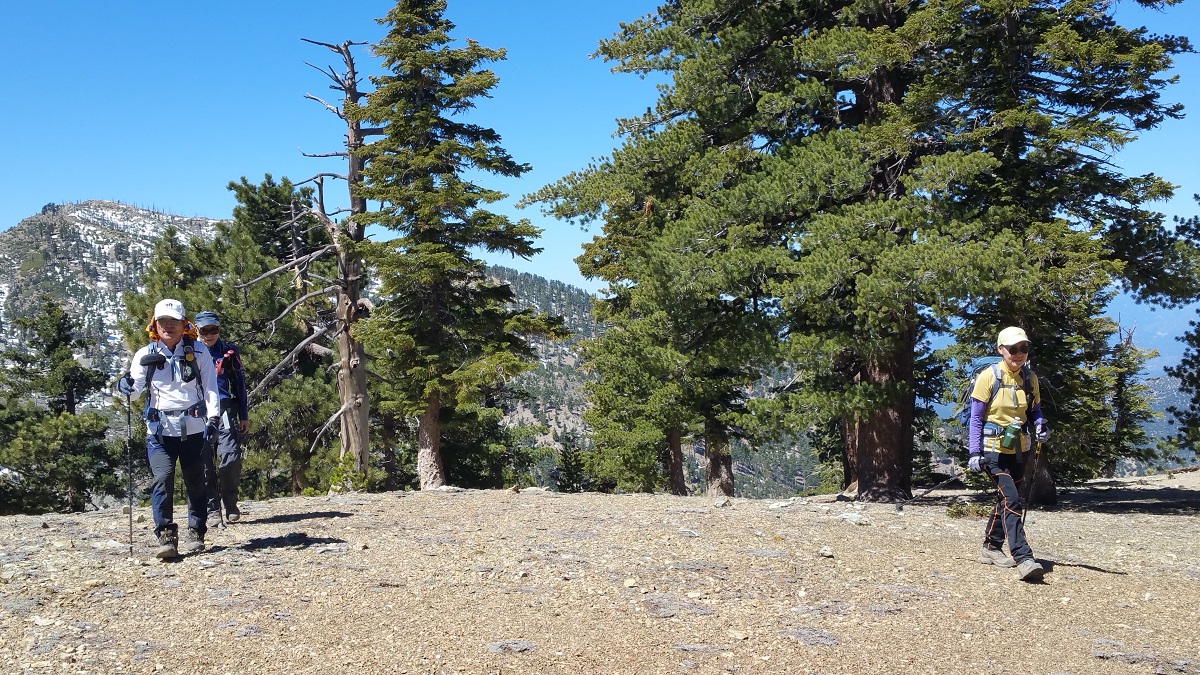 20170430_104942.jpg