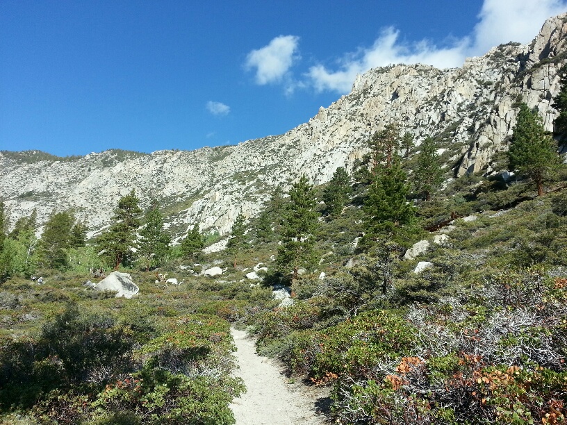 20130901_091257_resized.jpg