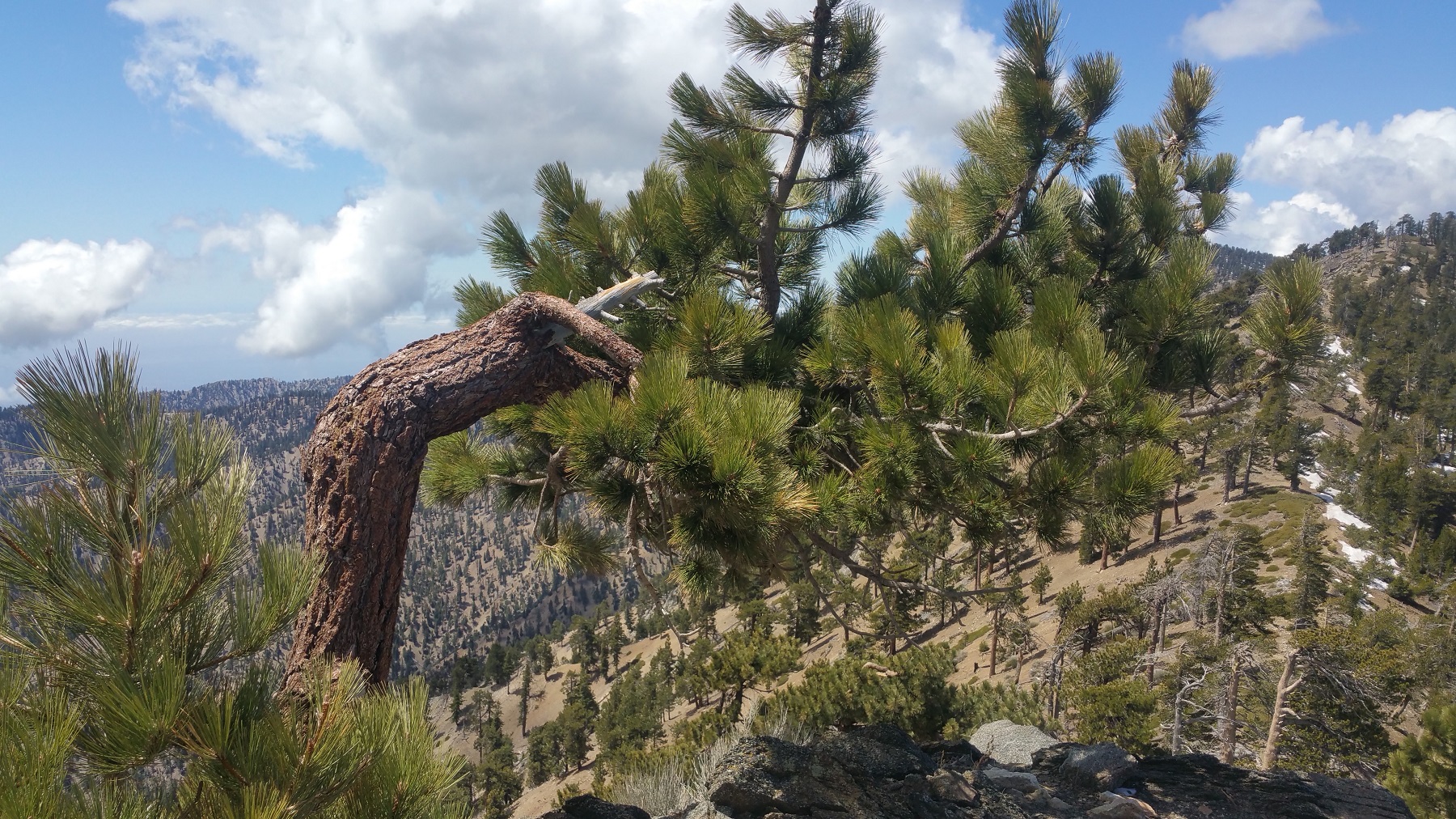 20nature.jpg