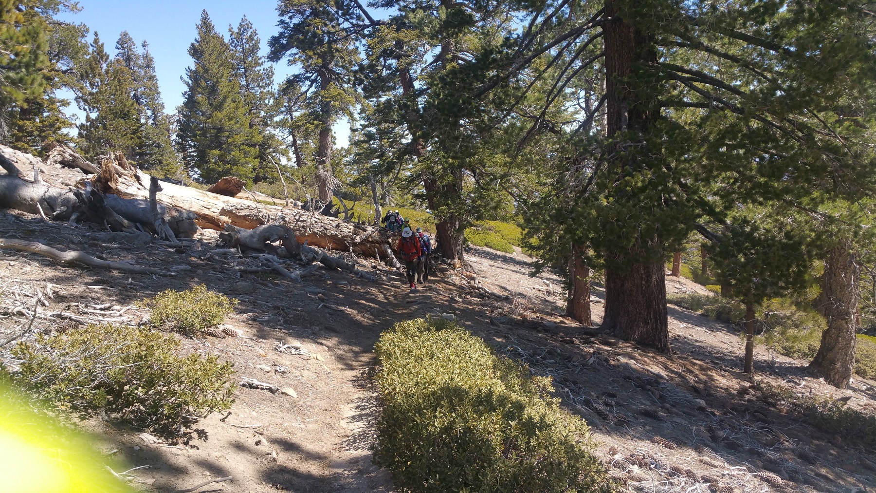 16nature.jpg