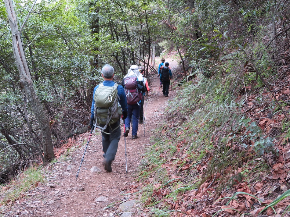 IMG_0185.JPG