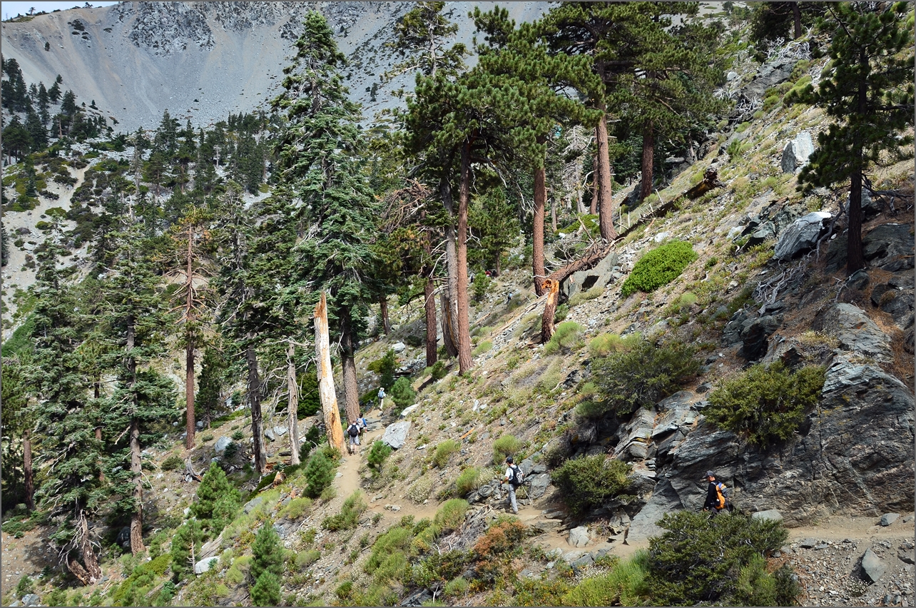 Baldy 025.jpg