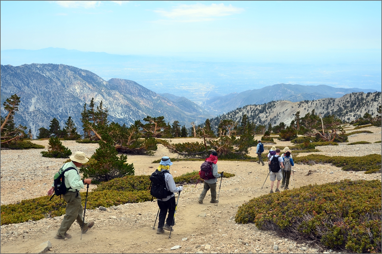 Baldy 033.jpg