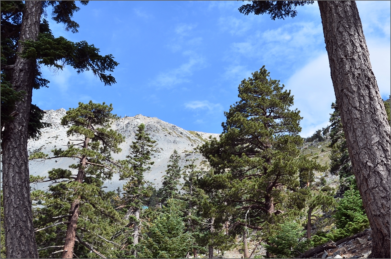 Baldy 024.jpg
