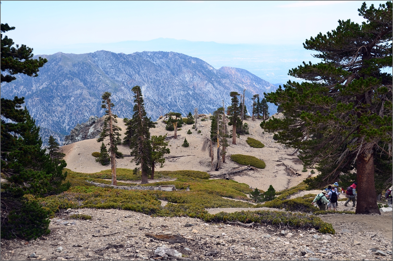 Baldy 034.jpg